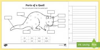 Parts Of A Quoll Worksheet Worksheets Teacher Made