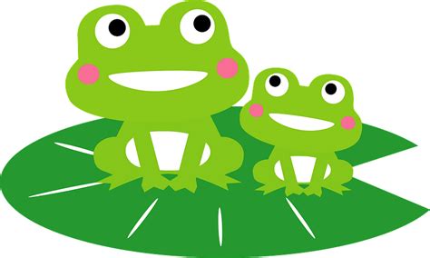 Frogs On Leaf Clipart Free Download Transparent Png Creazilla