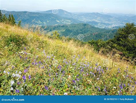 Summer Mountain View With Flowers Stock Photo Image 26785210