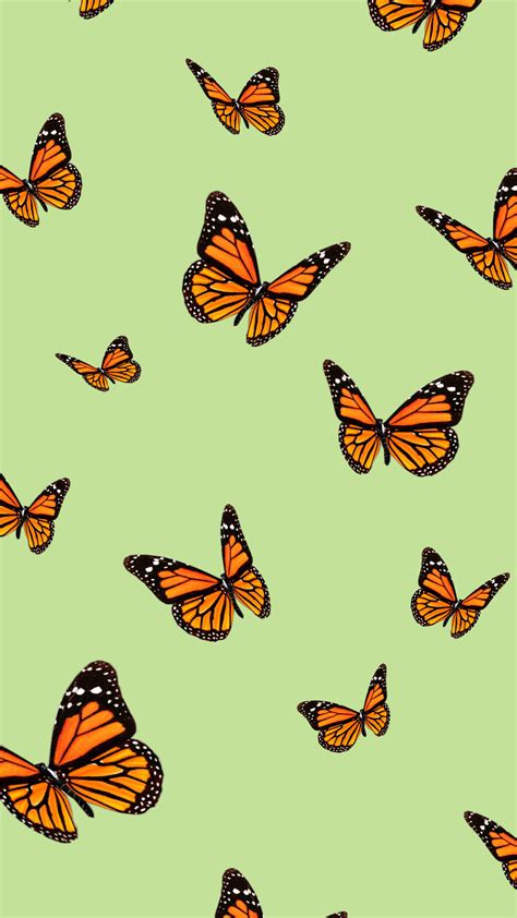 Monarch Butterfly Aesthetic Blue Butterfly Wallpaper Butterfly