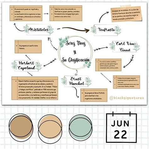 20 Mapa Conceptual Plantilla Word Bonitas Lukiso