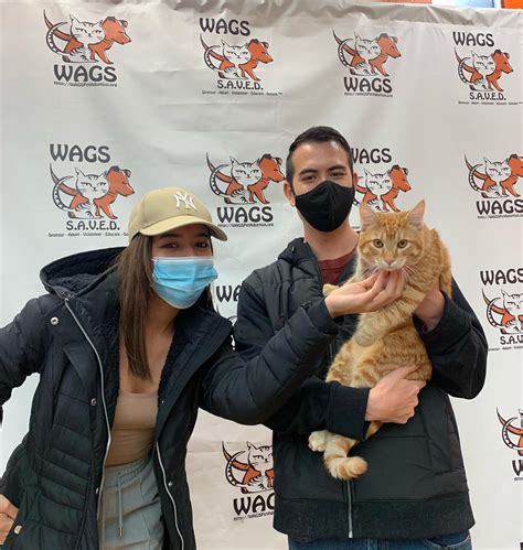 Congratula... - WAGS ~ Westminster Adoption Group and Services