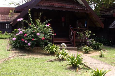 Maybe you would like to learn more about one of these? Mutiara Taman Negara Resort bungalows
