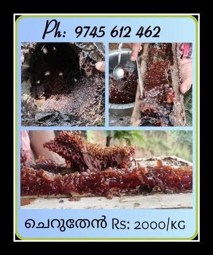 Greenline Sting Less Bee Honey And Sting Less Bee Hive From Kozhikode
