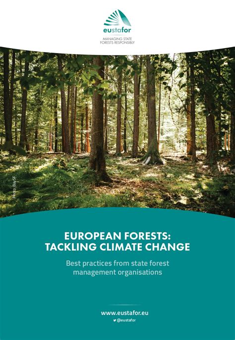 2030 Eu Climate Target Plan Must Better Recognize The Role Of Forests
