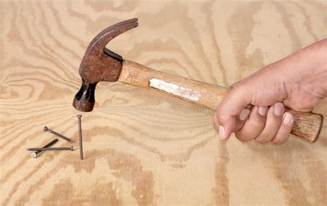 Hammering Nails Stock Image Image Of Nail Wood Plywood 11776333