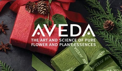 Send up to $1,000 with the suggestion to use it at aveda institute minneapolis. Aveda gift card. Can get at the mall or online. I love ...