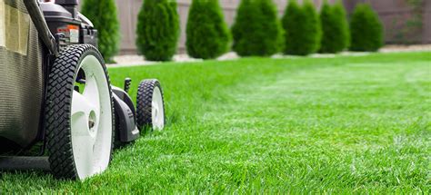 Commercial Grass Cutting Grounds Maintenance Glendale Services
