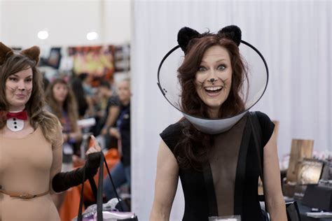 Catcon 2019 Is Coming To Pasadena And These 20 Photos Are The Purr