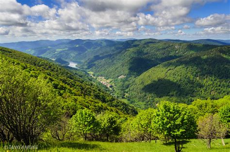 Vosges Mountains In The Vosges Mountains France David Harding Flickr