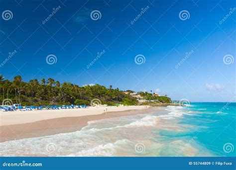 Crane Beach Stock Image Image Of Paradise Nature Sunlight 55744809