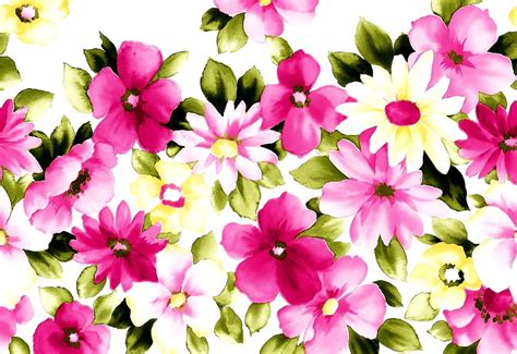 Imagem De Fundo Flores Flores Pintadas Pétala 🔥 Download Grátis