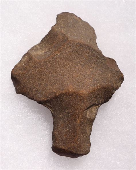 Earliest Known Arrowhead Large Middle Paleolithic Aterian Tanged