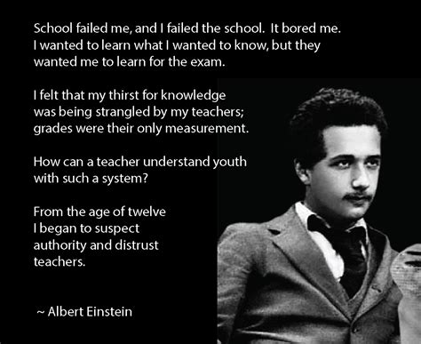 Albert Einstein On His School Experience Wonderful Words Wit And