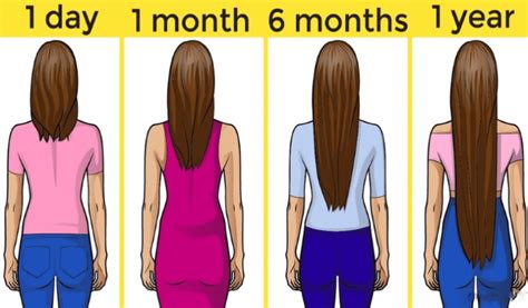 How long are you growing out your hair? (disgusted look). How to Make Your Hair Grow Faster | FoodiesPanda