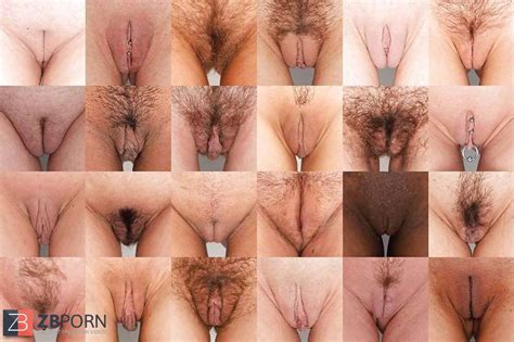 Geile Grosse Schamlippen Zb Porn Free Nude Porn Photos. 