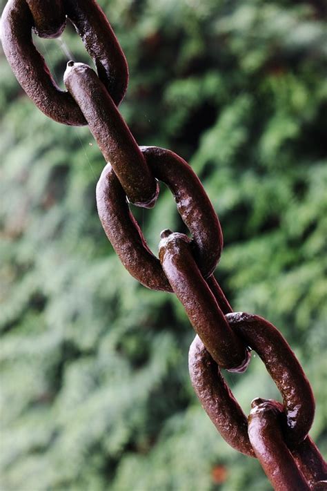 Chain Links Iron Free Photo On Pixabay
