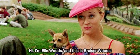 15 Life Lessons From Legally Blonde Teen Vogue