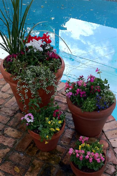 Laird Landscaping Inc Adding Beautiful Potted Plants To Landscaping