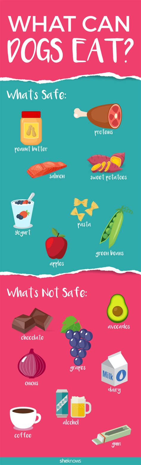 The Human Foods That Are Safe For Dogs