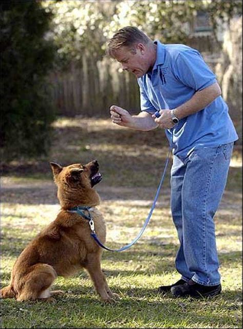 Top 10 Best Dog Trainers In The United States
