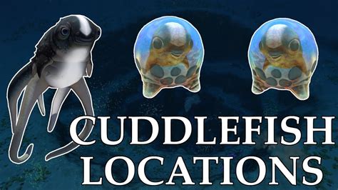 Where To Find ALL CUDDLEFISH EGGS In Subnautica Cuddlefish Eggs Locations Subnautica