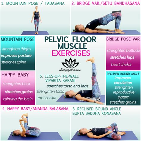 Pelvic Floor Muscle Exercises Yoga Infographicsl103 11 Pelvic Floor