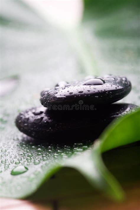 Massage Stones Stock Image Image Of Rock Therapy Photo 6459161