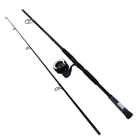 Buy Bg Saltwater Pre Mounted Spinning Combo At Ubuy India