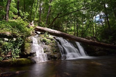5 Best Waterfall Hikes In New Jersey Discover Local Waterfalls