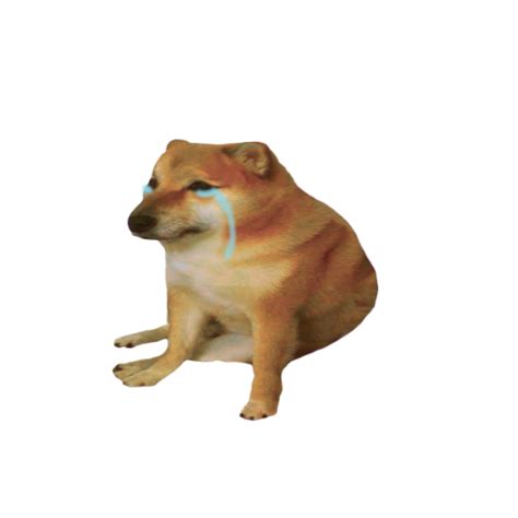 Doge Meme Transparent Background Cheems Png Image Dogepng Roblox