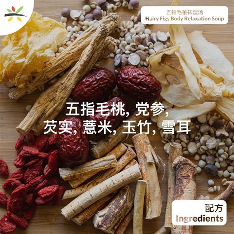 Hairy Fig Body Relaxation Soup 五指毛桃祛湿汤 120g For 2 3 Pax Sai Hing Medical Hall