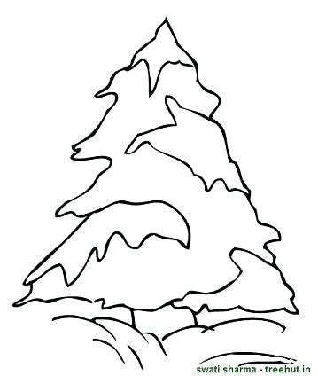 26 snow white pictures to print and color. Coloring Pages Of Pine Trees at GetColorings.com | Free ...