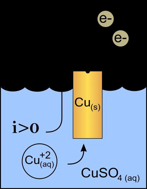 Quelle Est La Différence Entre Lanode Et La Cathode Maisonautop