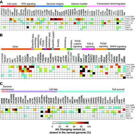 Nonsynonymous Variants Of 160 Genes Across The Nci 60 Colon Cancer Cell