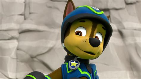 Chase Skye And Chase Paw Patrol Foto 41145963 Fanpop