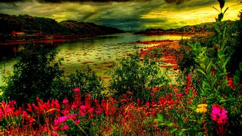 Hd Wallpaper Artistic Riverscape Hdr Clouds Flowers 3d And Abstract