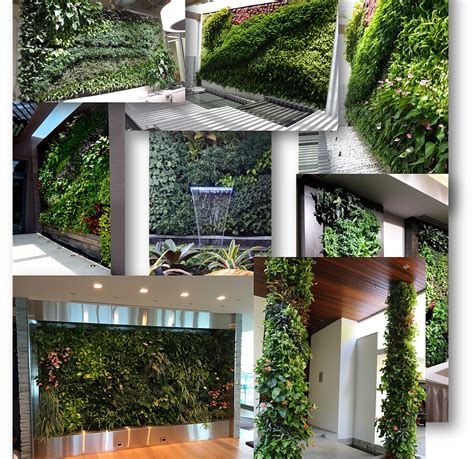 Miami Vertical Gardens And Green Living Walls Portfolio Applications