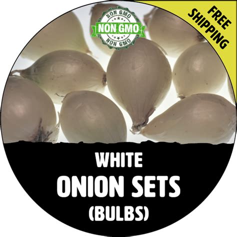 Garlic Onions And Shallots Onions Onion Bulbs Sets Organic