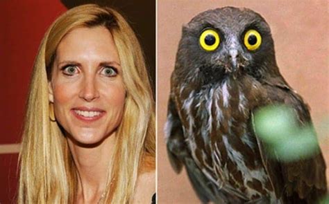 20 Animals That Look Just Like Celebrities