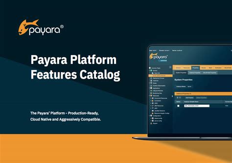 Features Catalog Payara Services Ltd