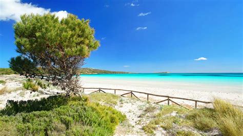 Camping On Sardinia Campsites And More