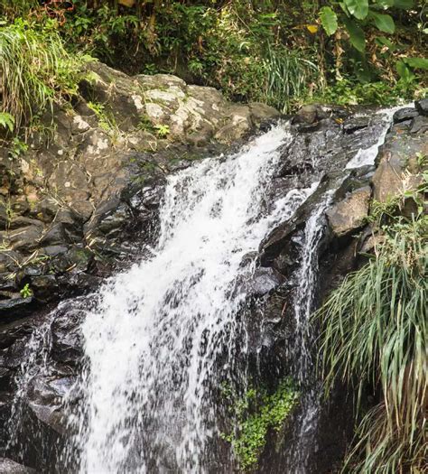 The Complete Guide To Grenada’s Waterfalls Caribbean Authority