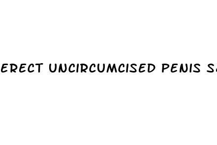 Erect Uncircumcised Penis Sex