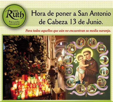 Llámasele, según famosa frase de león xiii, el santo. Plantas Medicinales Ruth: 13 DE JUNIO HORA DE PONER A SAN ...