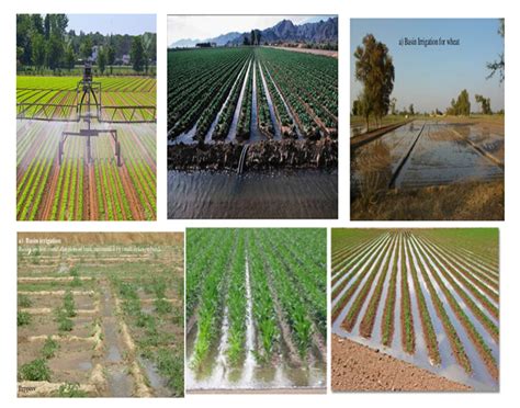 Irrigation And Drainage Meaning Importance Types Advantages And