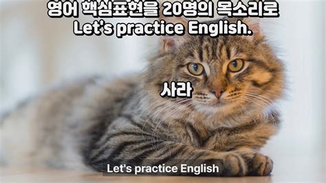 Lets Practice English 영어 스피치 연습을 위한 유용한 영어 표현 총정리 Youtube