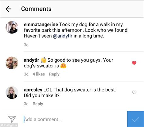 You Can Finally Like Or Disable Comments On Instagram Posts Daily Mail Online