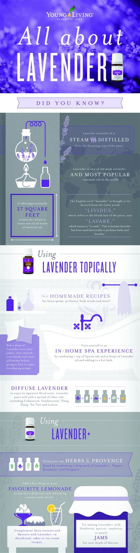 I stopped by the young living farms on my way home from a retreat, as a yl eo user i had to see the farm for myself. All About Lavender Essential Oil - Young Living Blog