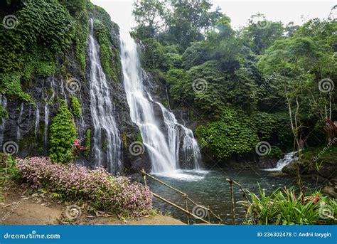 Beautiful Waterfalls In The Ecosystem And In Greenery Around The